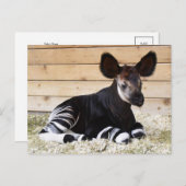 Vintages Foto Postkarte (Vorne/Hinten)