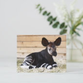 Vintages Foto Postkarte (Stehend Vorderseite)