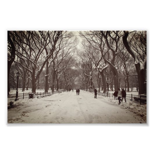 Vintages Foto The Mall, Central Park NY (Vorne)