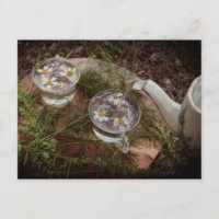 Vintages Foto | Wildblume Tea Nature Postkarte