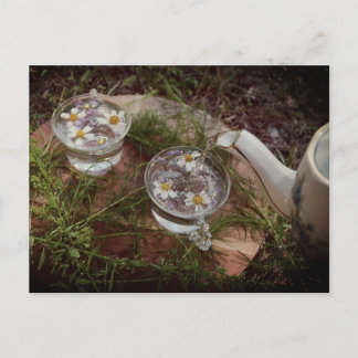 Vintages Foto | Wildblume Tea Nature Postkarte