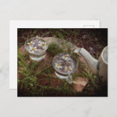 Vintages Foto | Wildblume Tea Nature Postkarte (Vorne/Hinten)