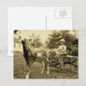 Vintages Foto - "Ziegenkarte" - Postkarte (Vorne/Hinten)