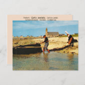 Vintages Frankreich, Bretagne, Fischerboote Postkarte (Vorne/Hinten)