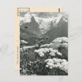 Vintages Frankreich, Chamonix "Mont Blanc" Postkarte (Vorne/Hinten)