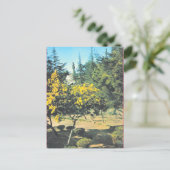 Vintages Frankreich Korsika, Denkmal für Napole Postkarte (Stehend Vorderseite)