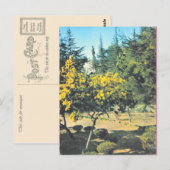 Vintages Frankreich Korsika, Denkmal für Napole Postkarte (Vorne/Hinten)