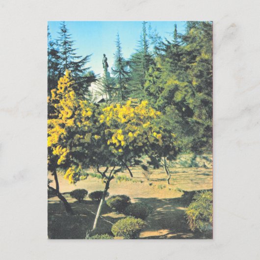 Vintages Frankreich Korsika, Denkmal für Napole Postkarte (Vorderseite)