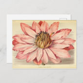 Vintages Französisch-Floral Ephemere Decoupage Pin Postkarte (Vorne/Hinten)