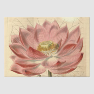 Vintages Französisch-Floral Ephemere Decoupage Pin Seidenpapier