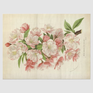 Vintages Französisch Floral Ephemere Decoupage Pin Seidenpapier