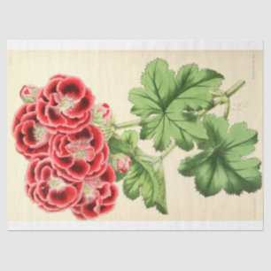 Vintages Französisch Floral Ephemere Decoupage Pin Seidenpapier