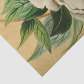 Vintages Französisch Floral Ephemere Decoupage Whi Seidenpapier (Detail)