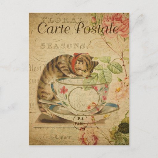 Vintages Französisches Katzen trinken aus Tea Cup Postkarte (Vorderseite)