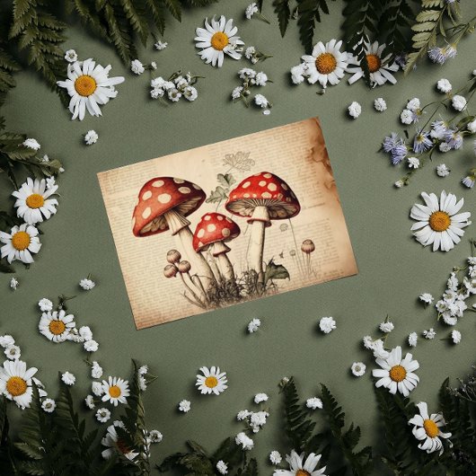 Vintages französisches Mushroom Page Decoupage Seidenpapier