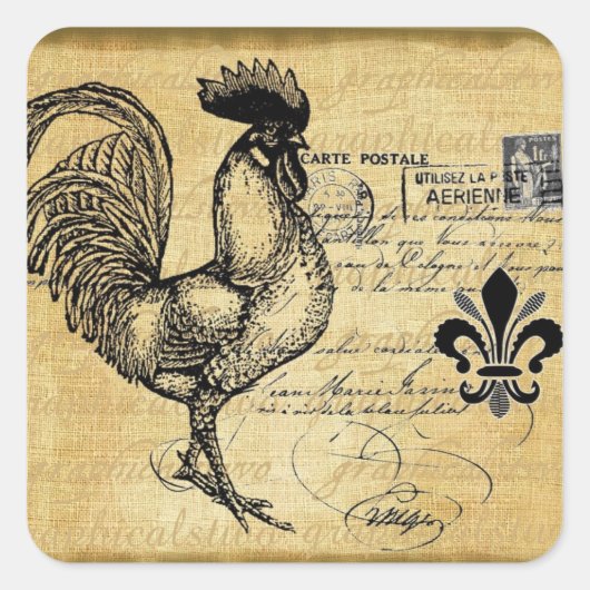 Vintages französisches Rooster auf Burlap Quadratischer Aufkleber (Vorderseite)