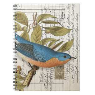 Vintages French Bluebird Spiral Journal Notizblock