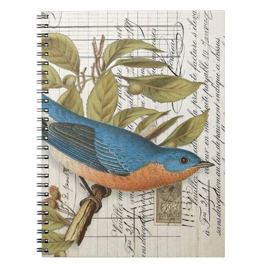Vintages French Bluebird Spiral Journal Notizblock (Vorderseite)