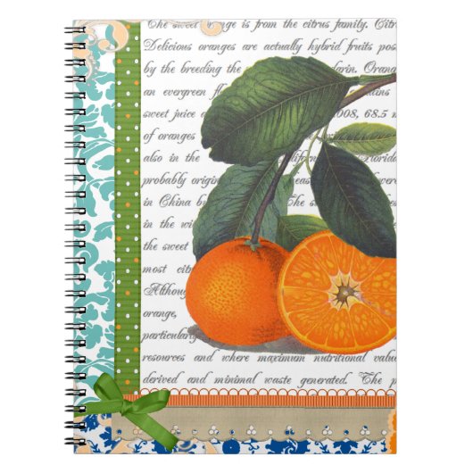 Vintages Frucht-Rezeptnotizbuch Floridas orange Notizblock (Vorderseite)