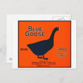 Vintages Fruchtetikett Postkarte (Vorne/Hinten)