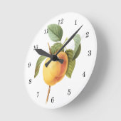Vintages Fruchtfutter, Calville Apple von Redoute Runde Wanduhr (Winkel)