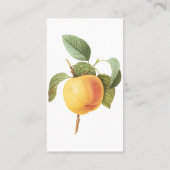 Vintages Fruchtfutter, Calville Apple von Redoute Visitenkarte (Rückseite)