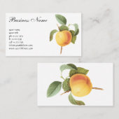 Vintages Fruchtfutter, Calville Apple von Redoute Visitenkarte (Vorne/Hinten)