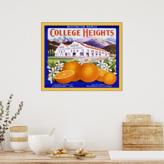 Vintages Fruchtkäfigetikett Poster (Küche)