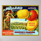 Vintages Fruchtkäfigetikett Poster (Vorne)