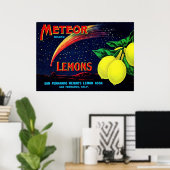 Vintages Fruchtkäfigetikett Poster (Heimbüro)