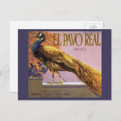 Vintages Fruchtkasten-Label Kunst, Dichtung und Mu Postkarte (Vorne/Hinten)