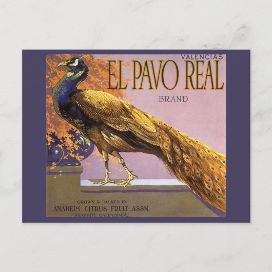 Vintages Fruchtkasten-Label Kunst, Dichtung und Mu Postkarte (Vorderseite)