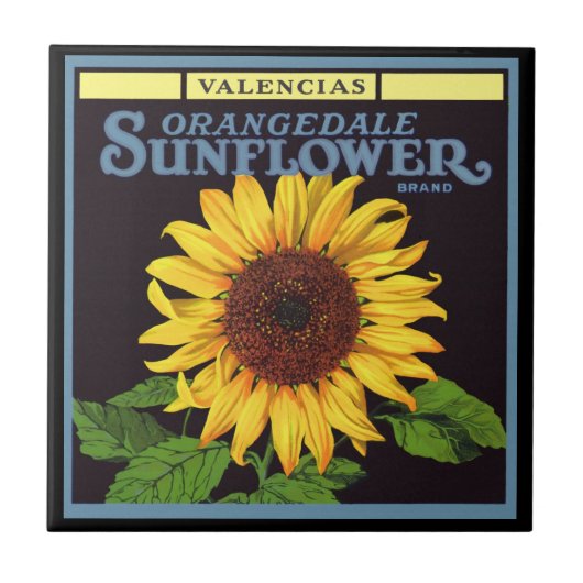 Vintages Fruchtkorb Fliese (Vorderseite)