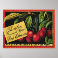 Vintages Fruchtkorb-Label Kunst, Baumkirschen