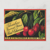 Vintages Fruchtkorb-Label Kunst, Baumkirschen Postkarte (Vorderseite)