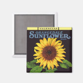 Vintages Fruchtkorb Magnet (Vorderseite/Rückseite)