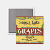 Vintages Fruchtkorb Magnet (Vorderseite/Rückseite)