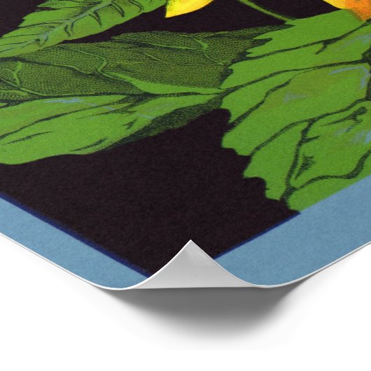 Vintages Fruchtkorb Poster (Ecke)