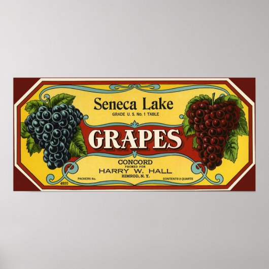 Vintages Fruchtkorb Poster (Vorne)