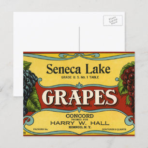 Vintages Fruchtkorb Postkarte