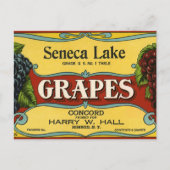 Vintages Fruchtkorb Postkarte (Vorderseite)