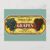 Vintages Fruchtkorb Postkarte (Vorderseite)