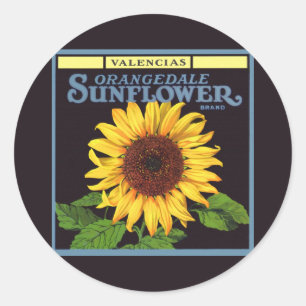 Vintages Fruchtkorb Runder Aufkleber