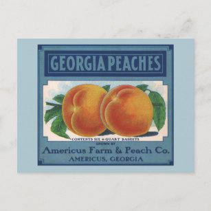 Vintages Fruchtkornlabel Art, Georgia Pfirsiche Postkarte