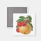 Vintages Fruchtmagnet Magnet (Vorderseite/Rückseite)