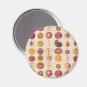 Vintages Fruchtmuster Magnet (Vorderseite/Rückseite)
