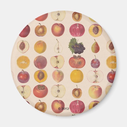 Vintages Fruchtmuster Magnet (Vorne)