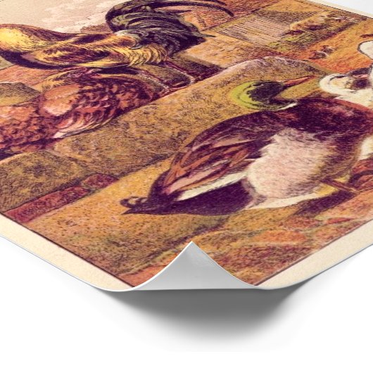 Vintages Geflügel Poster (Ecke)