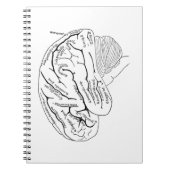 Vintages Gehirn Notizblock (Vorderseite)
