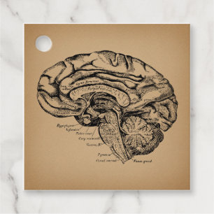 Vintages Gehirndiagramm Antike Anatomie Kunst Geschenkanhänger